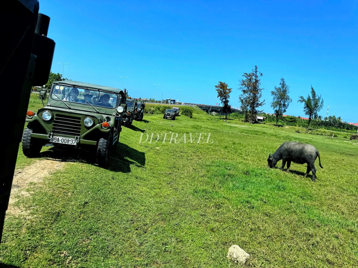 DDTravel Jeep convoy green field buffalo countryside Hoi An