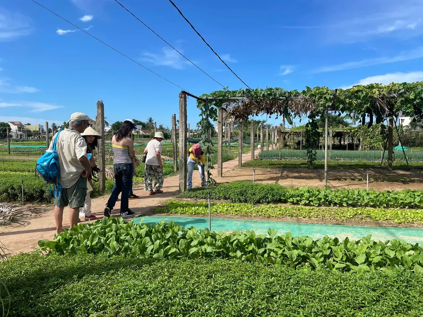 Trà Quế Vegetable Village guests Hội An Jeep tour DDTravel