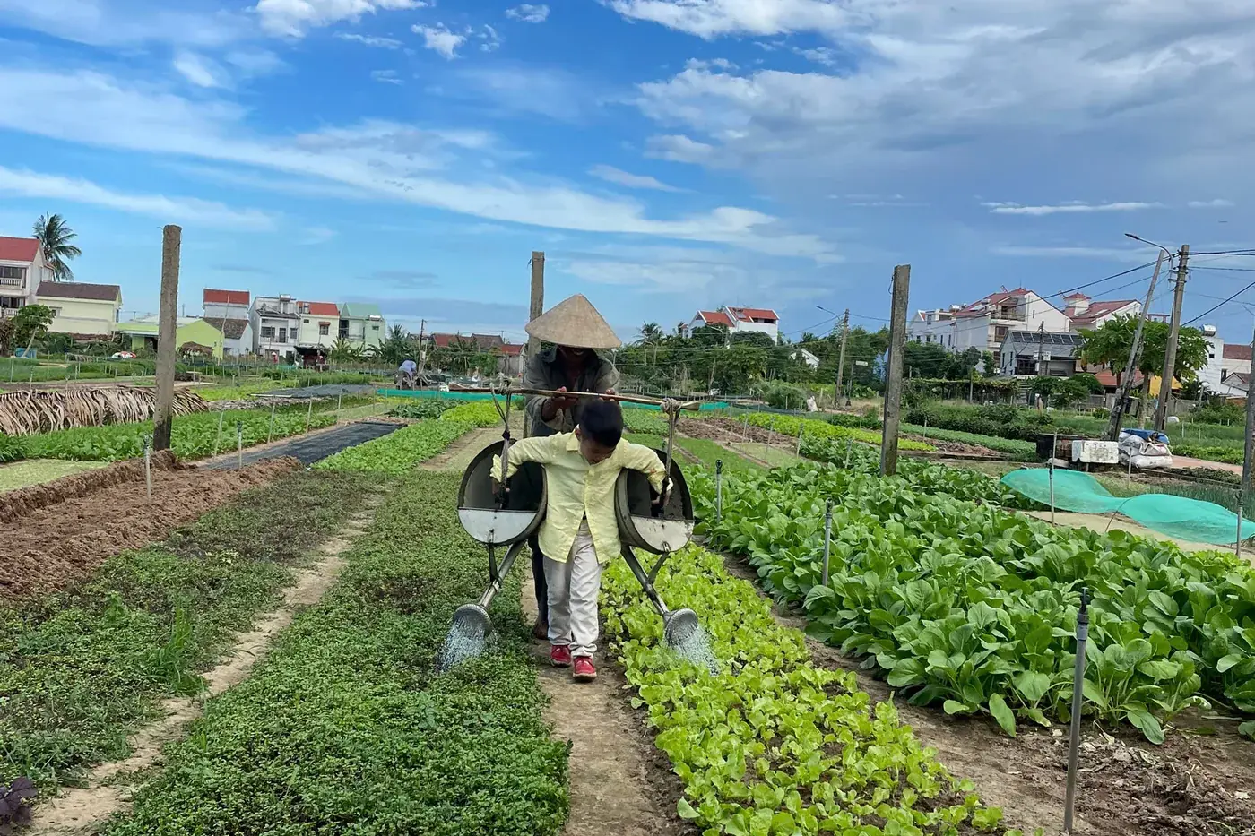 Child and farmer watering vegetables Trà Quế DDTravel